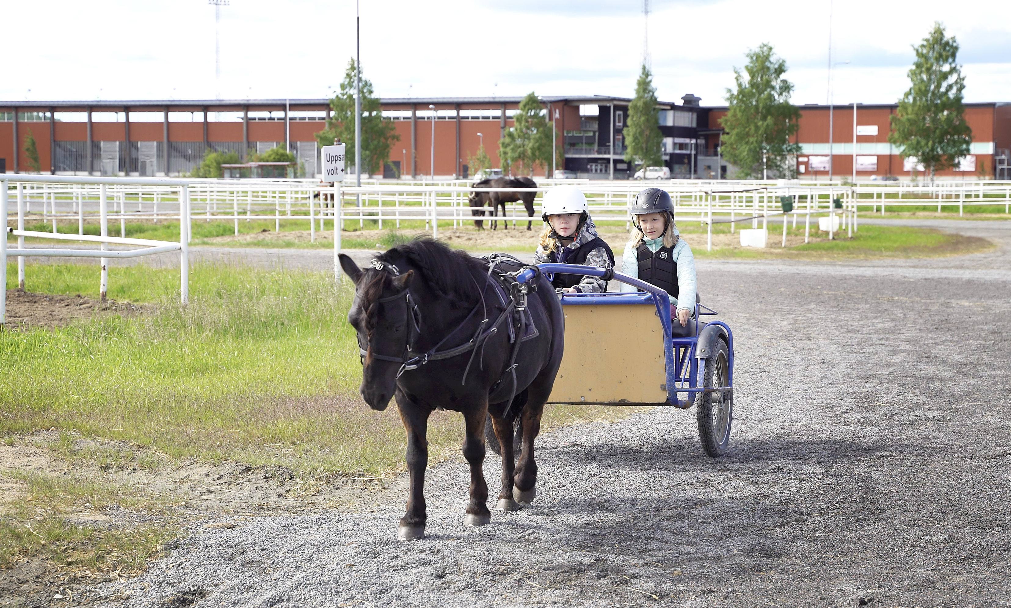 Coop Norrbotten satsar på travskolan